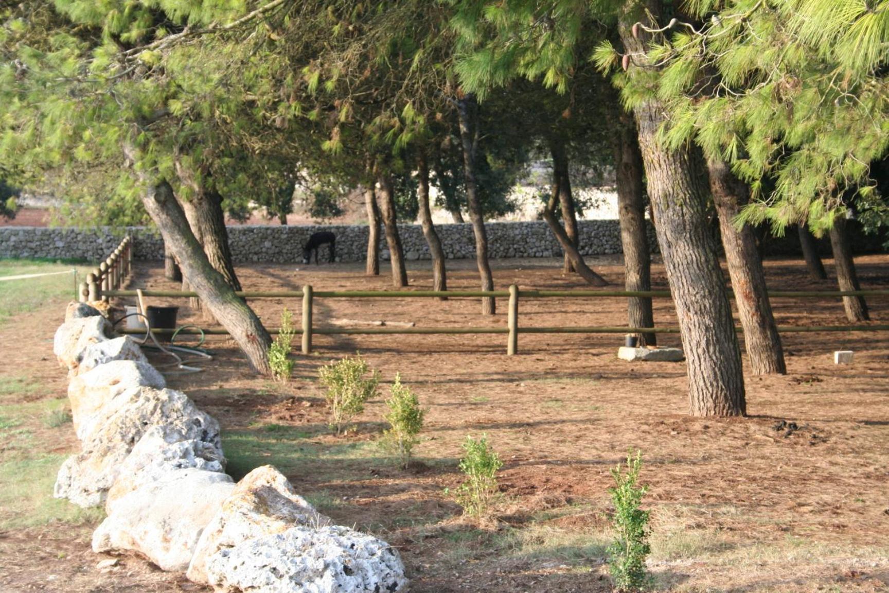 Masseria Autigne Οτράντο Εξωτερικό φωτογραφία